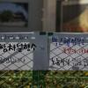 -지난 4일 서울 중구청은 24인의 쌍용자동차 조합원을 기리는 영정이 있는 분향소를 철거하고 그 자리에 꽃밭을 만드는 만행을 저질렀다.